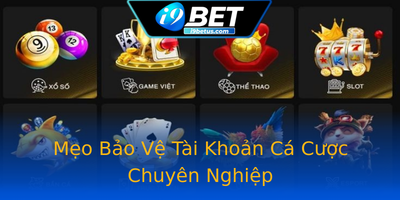 Mẹo Bảo Vệ Tài Khoản Cá Cược Chuyên Nghiệp Mẹo Bảo Vệ Tài Khoản Cá Cược Chuyên Nghiệp