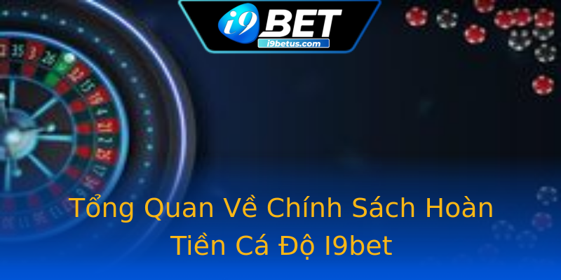 Tổng Quan Về Chính Sách Hoàn Tiền Cá Độ I9bet Tổng Quan Về Chính Sách Hoàn Tiền Cá Độ I9bet